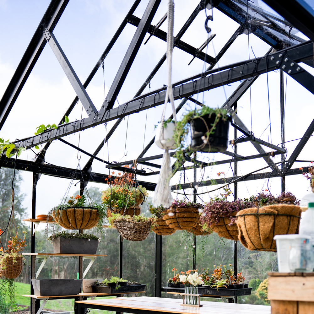 12x24ft (3.8x7.7m) Greenhouse - wintergardenz.co.nz