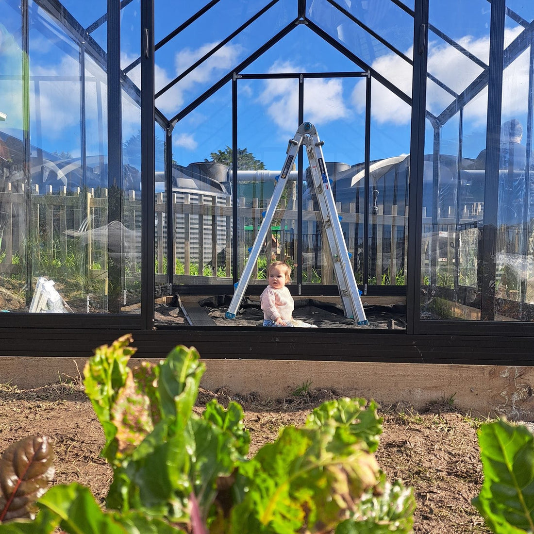 Young Farmers Garden Diary: The Changing Season