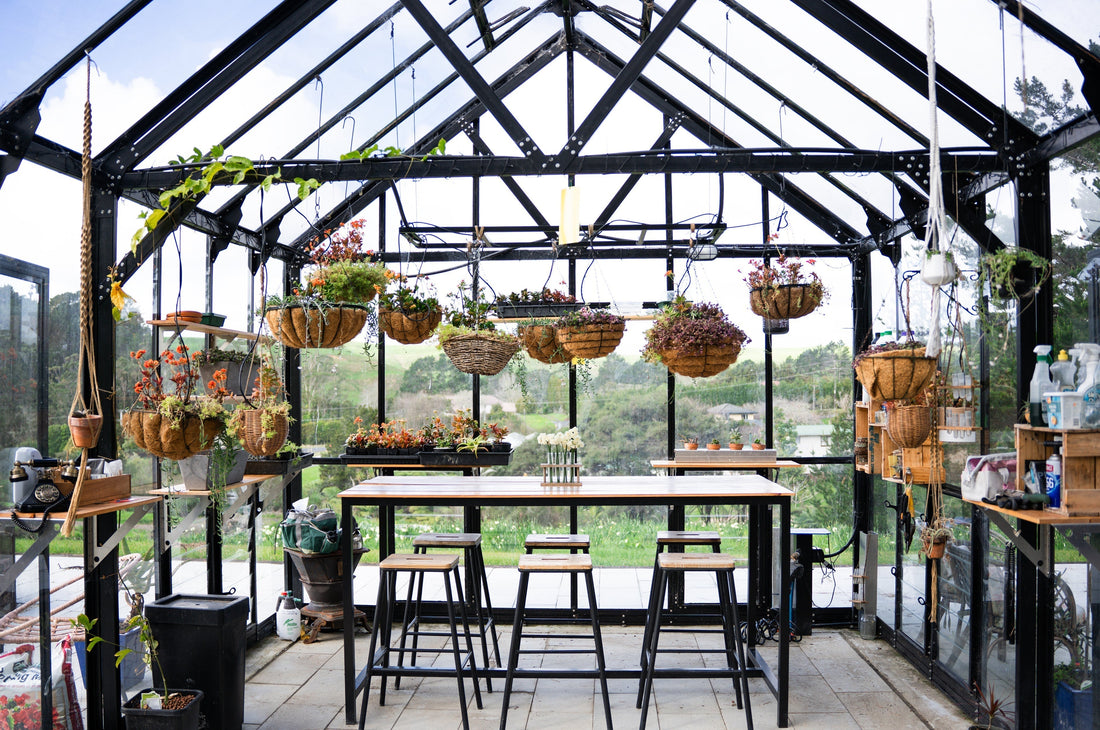 Preparing Your Winter Gardenz Greenhouse for High Wind Warnings