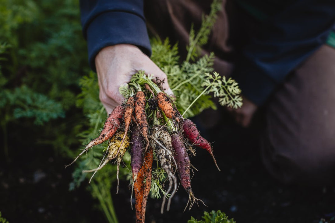 Warmer Days Are on the Way: Your Guide to Prepping for Spring
