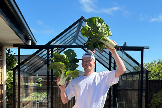 Ezra’s Garden Diary: My First Spring in the Glasshouse