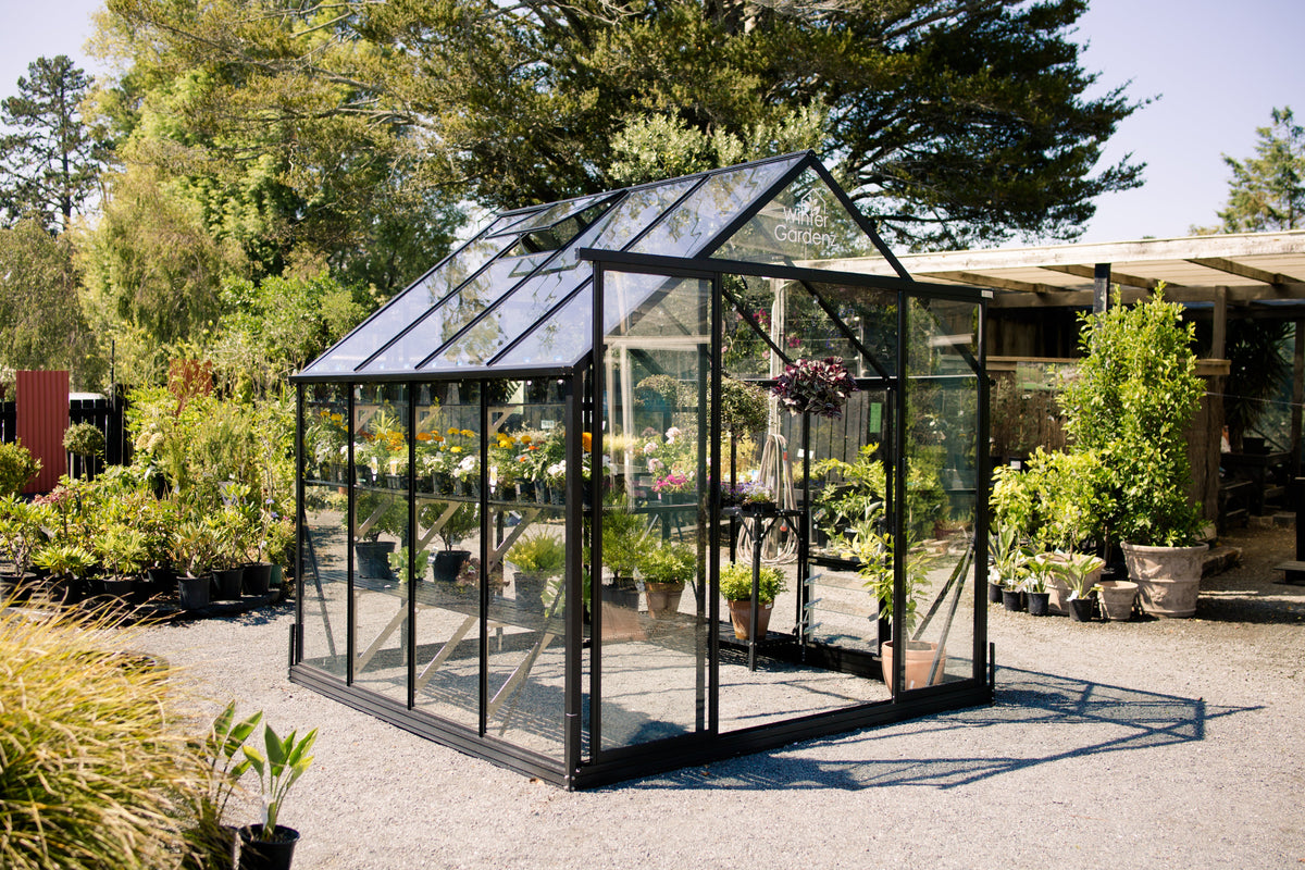 Black metal framed greenhouse with black shade cover roof panels surrounded by black fence and potted plants