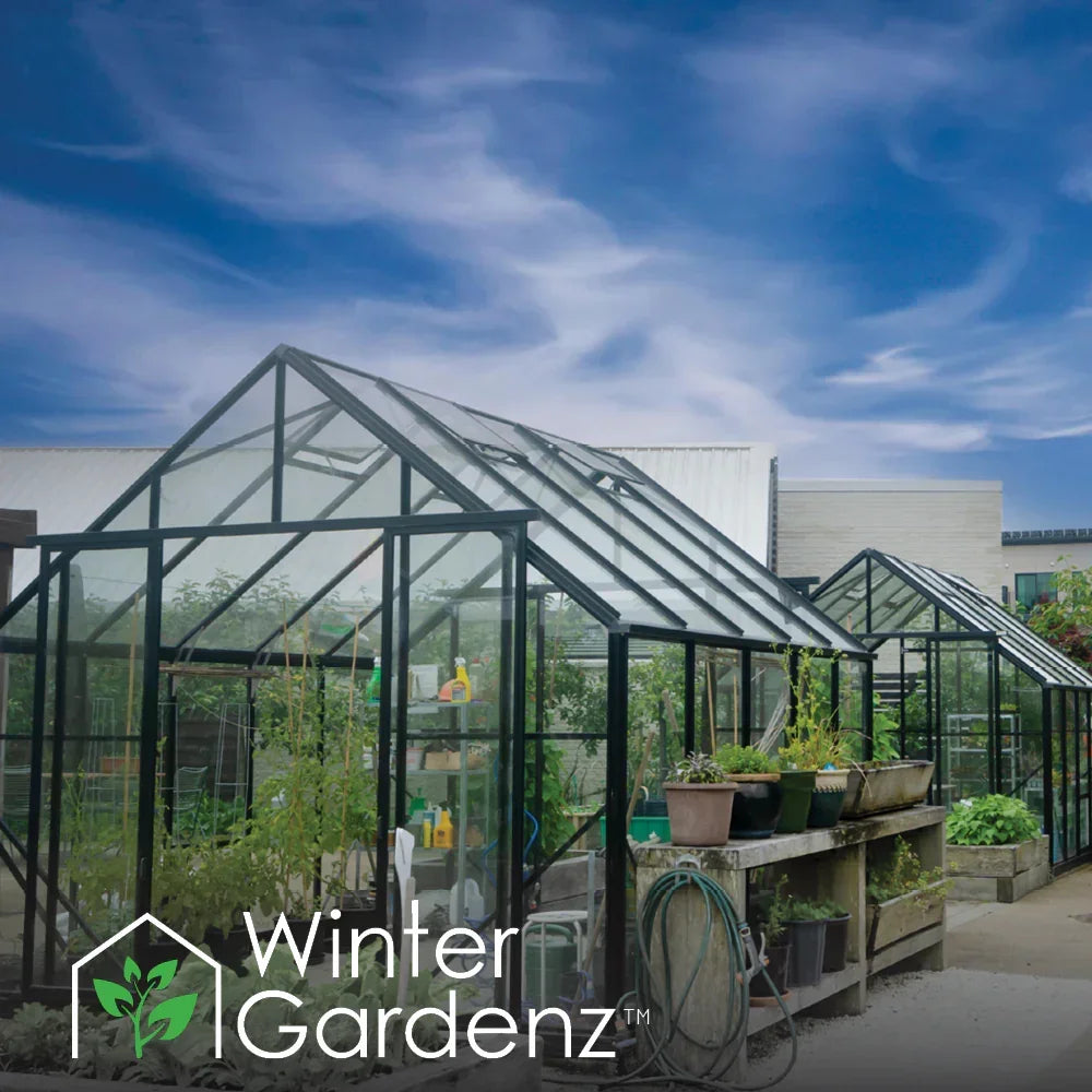 Modern glass greenhouses with black frames and potted plants outside under a blue sky