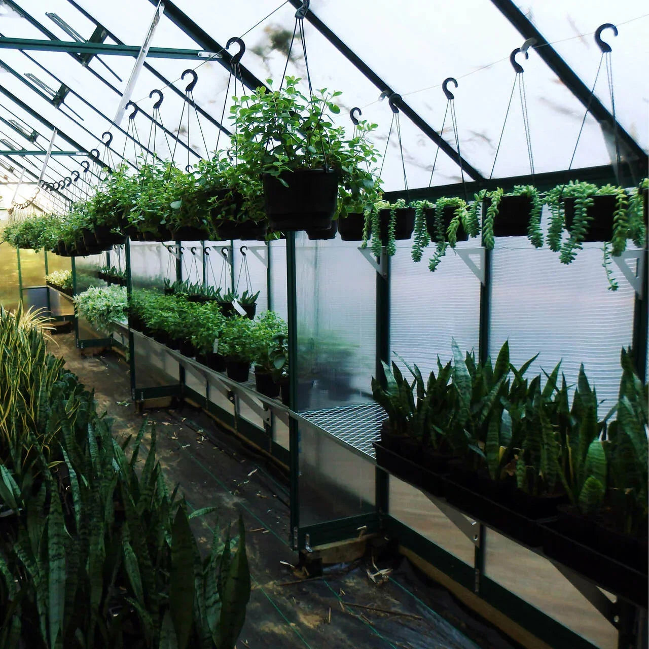 10x24 Greenhouse 6mm Polycarbonate