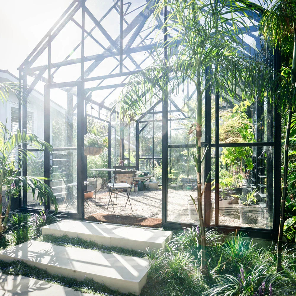12x16ft (3.8x5.1m) Greenhouse - wintergardenz.co.nz