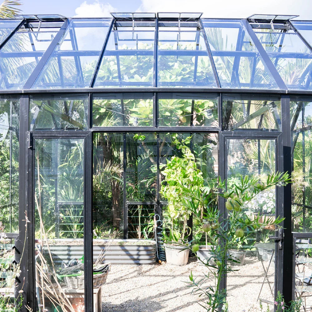 12x16ft (3.8x5.1m) Greenhouse - wintergardenz.co.nz
