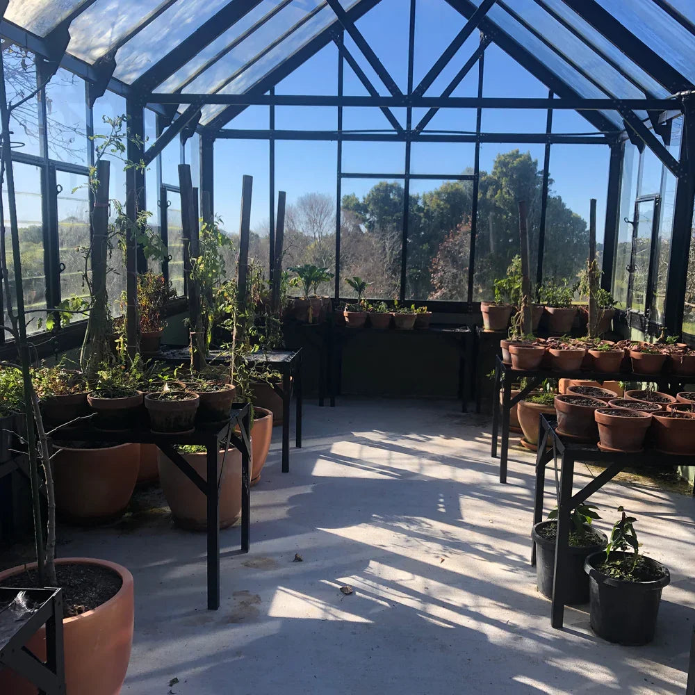 12x20ft (3.8x6.4m) Elite Glasshouse - wintergardenz.co.nz