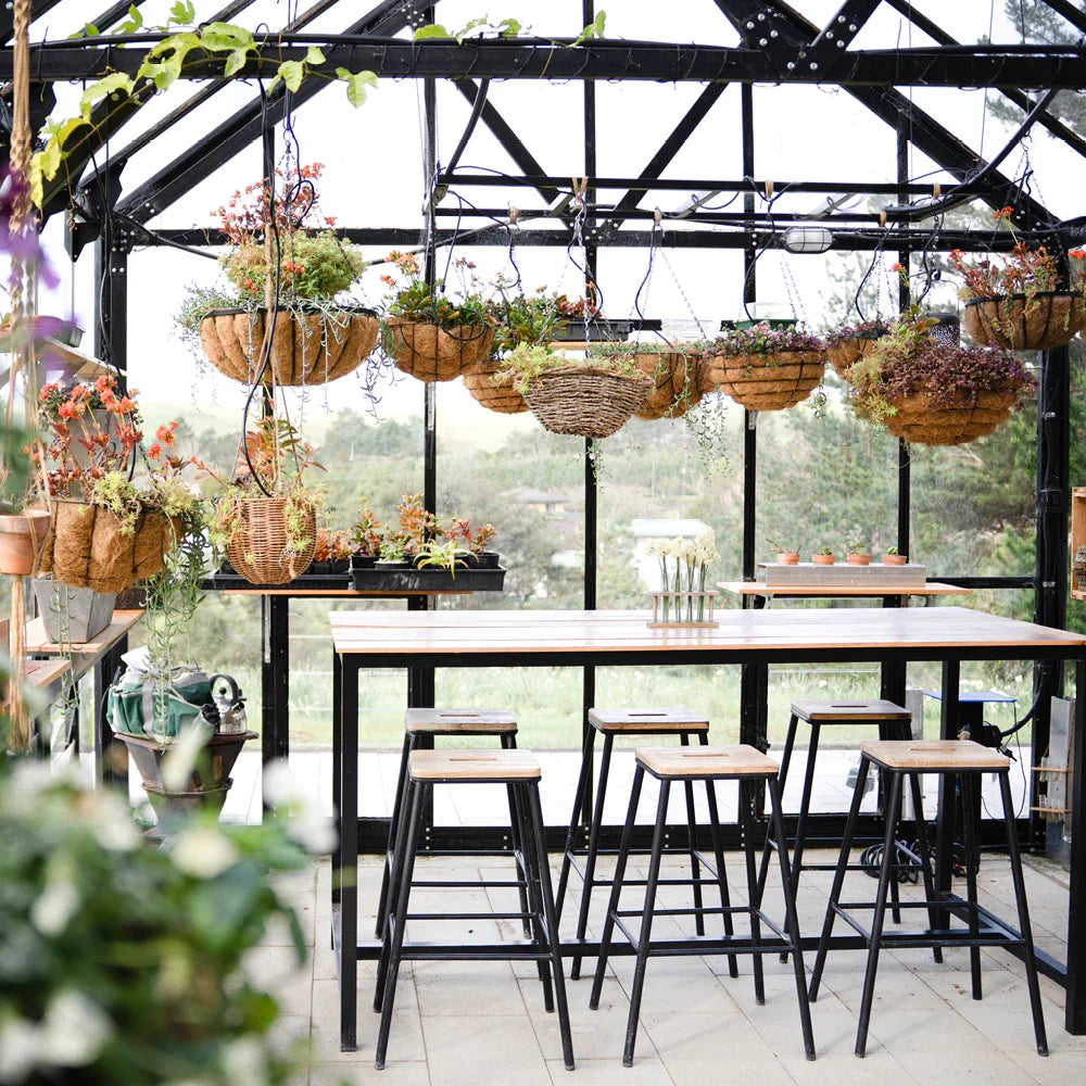 12x24ft (3.8x7.7m) Greenhouse - wintergardenz.co.nz
