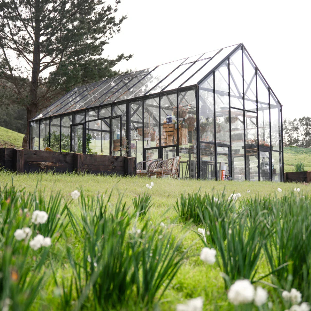 12x24ft (3.8x7.7m) Greenhouse - wintergardenz.co.nz