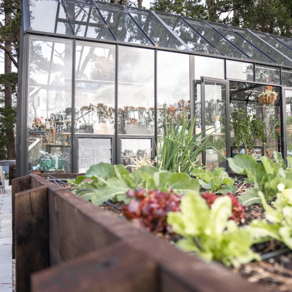12x24ft (3.8x7.7m) Greenhouse - wintergardenz.co.nz