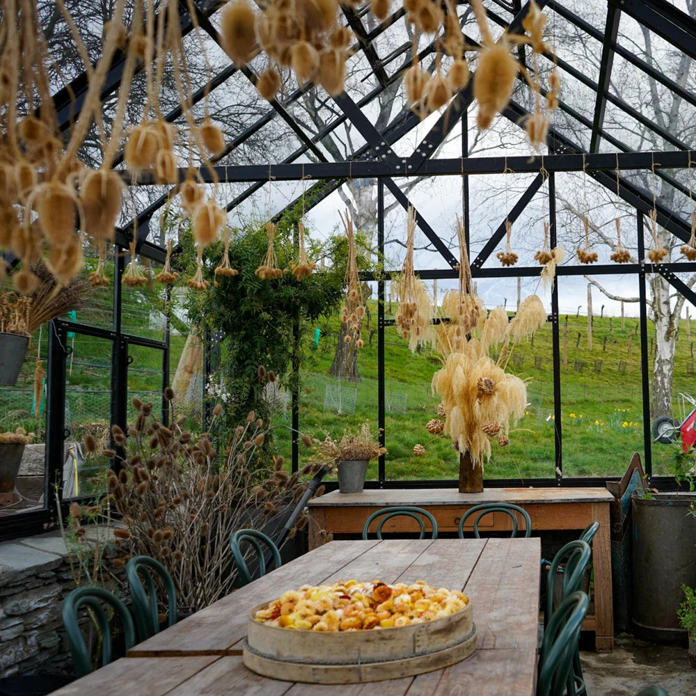 12x24ft (3.8x7.7m) Elite Glasshouse - wintergardenz.co.nz