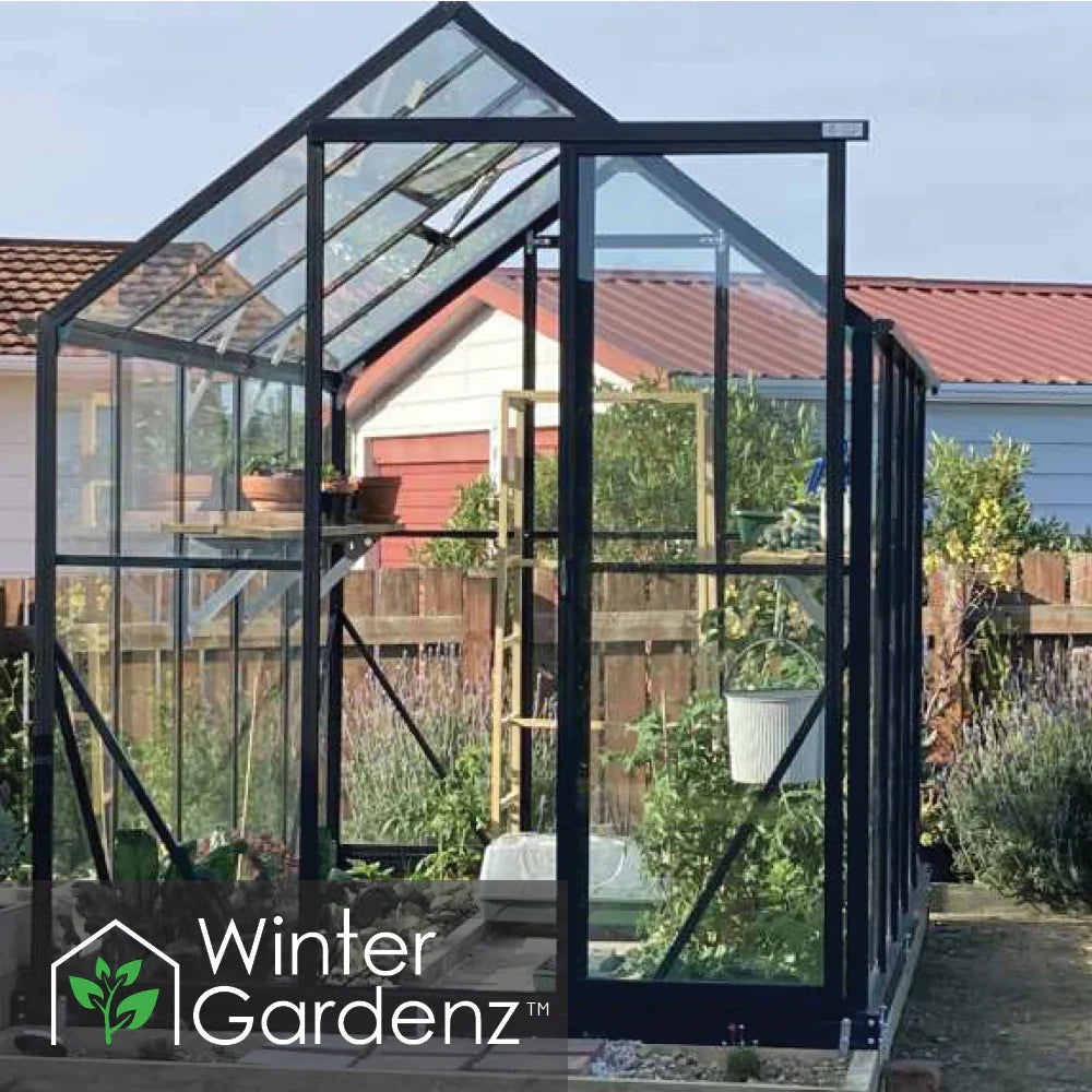 6x10 glass greenhouse with black frame in backyard garden, potted plants inside, wooden fence backdrop