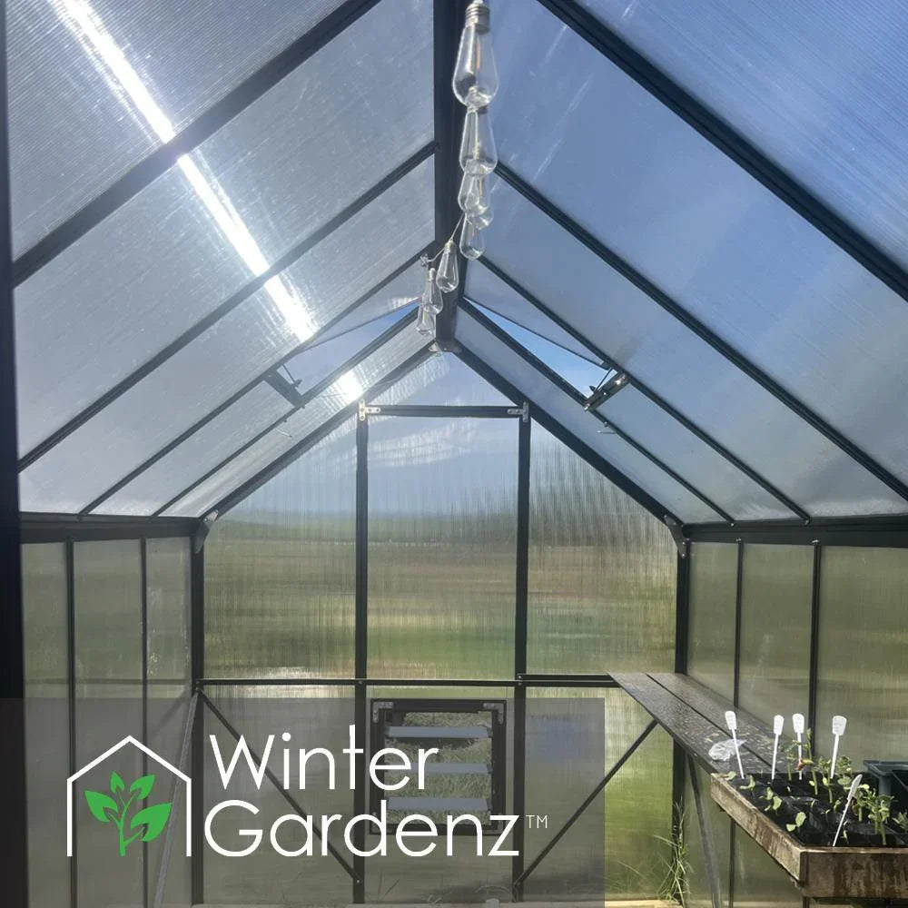  6x10ft (2x3.2m) Greenhouse 6mm Polycarbonate 