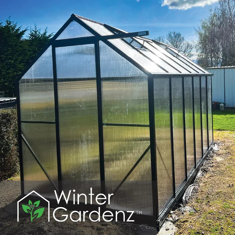  6x10ft (2x3.2m) Greenhouse 6mm Polycarbonate 