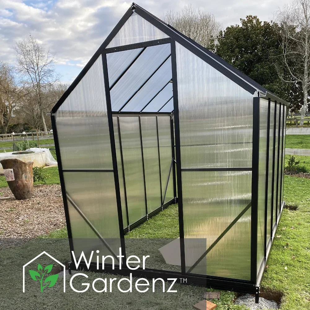  6x10ft (2x3.2m) Greenhouse 6mm Polycarbonate 