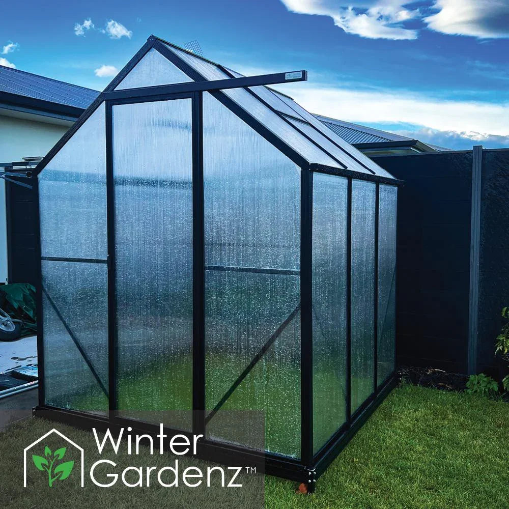  6x6ft (2x2m) Greenhouse with 6mm Polycarbonate 