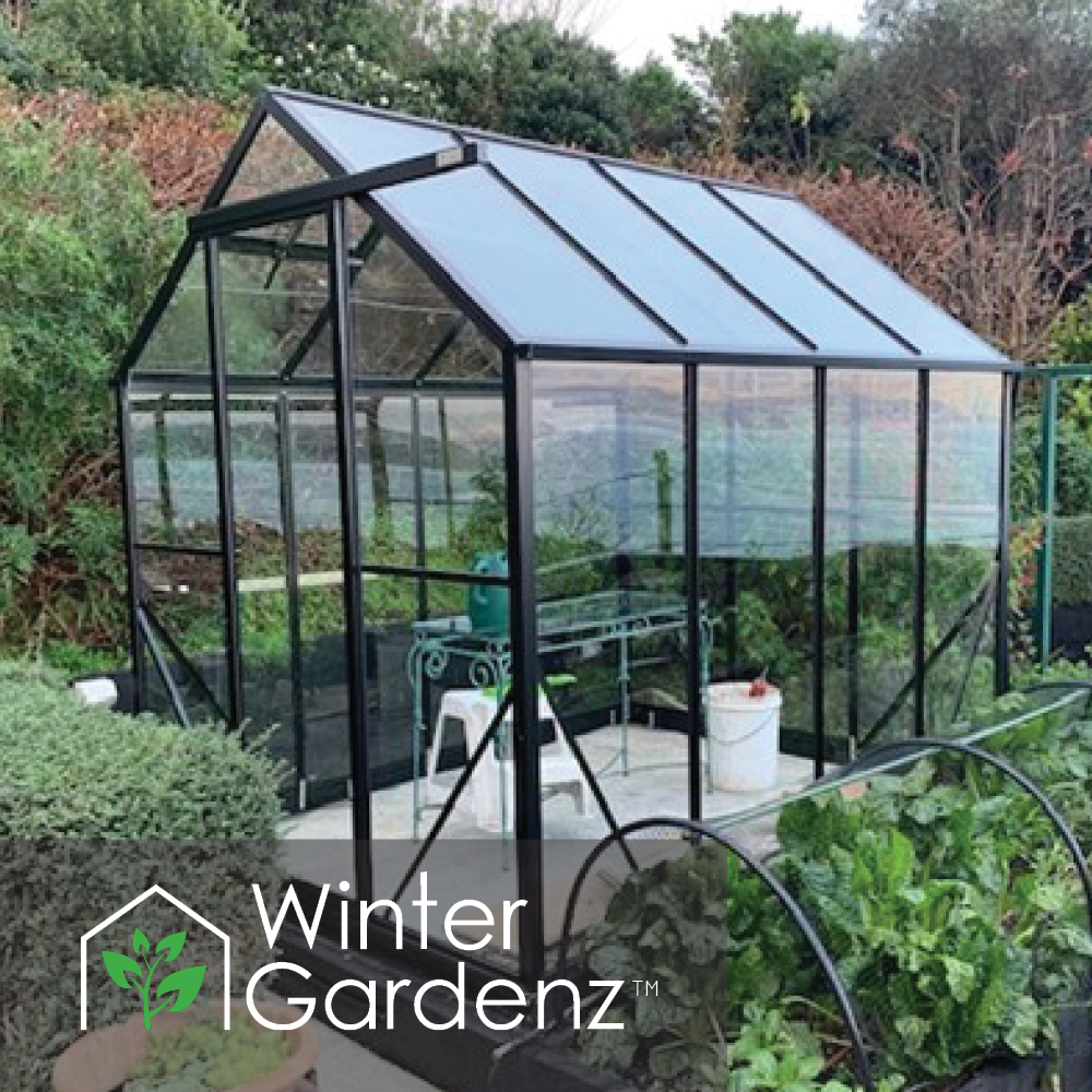 2x2.6m (6x8ft) 4mm Glasshouse | Winter Gardenz