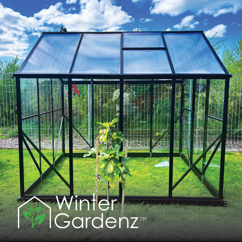 2x2.6m (6x8ft) 4mm Glasshouse | Winter Gardenz