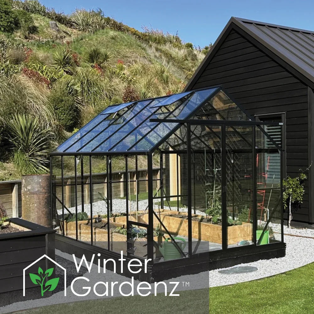 8x12 glass greenhouse with black frame in garden, planting beds inside by black wooden shed