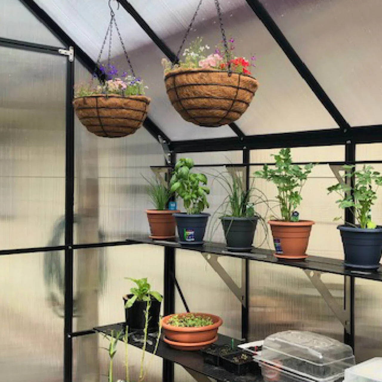 8x16 Greenhouse 6mm Polycarbonate