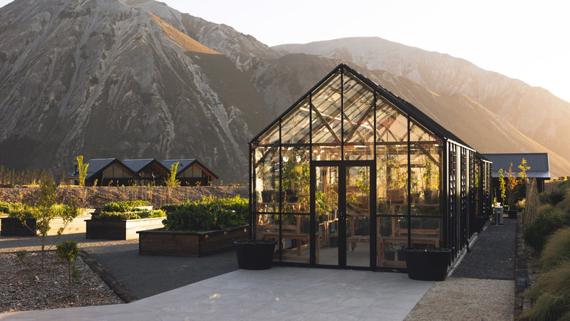 Flock Hill Station | 12x24ft | Royal Botanical Series