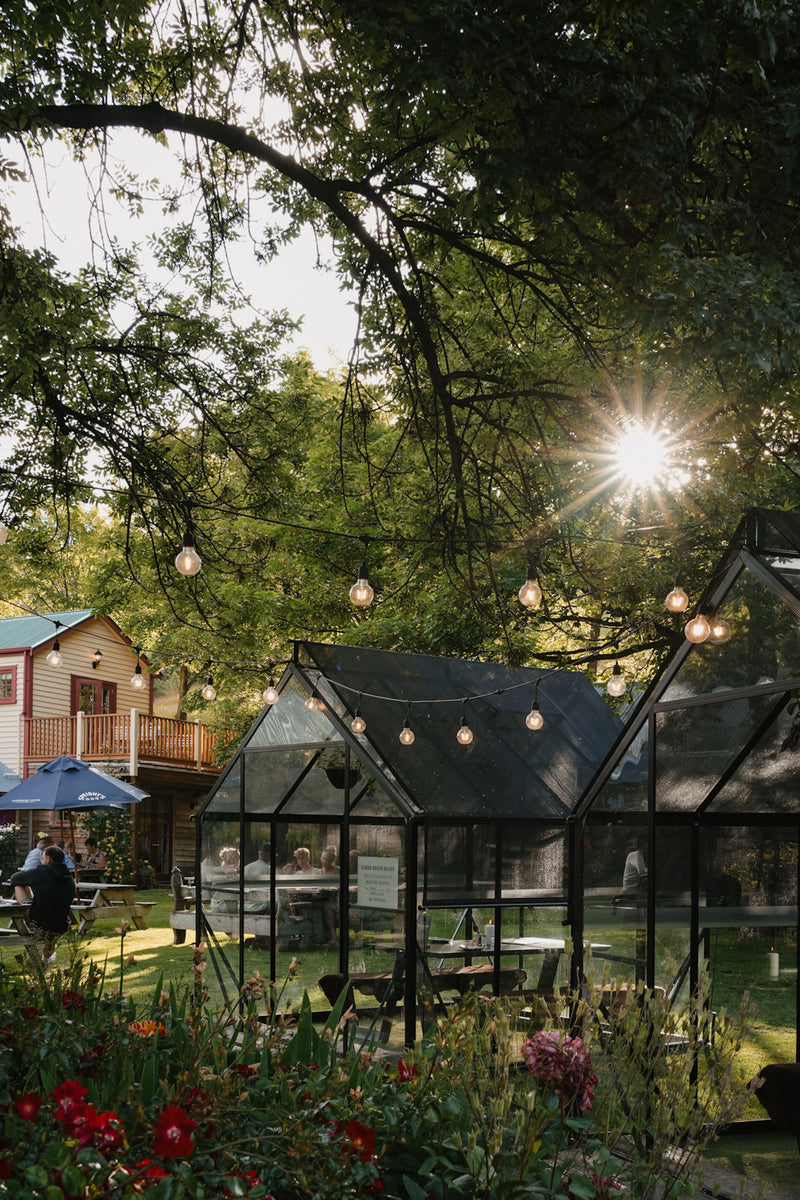 Cadrona Hotel |  8 × 8ft |  Kitset Greenhouse