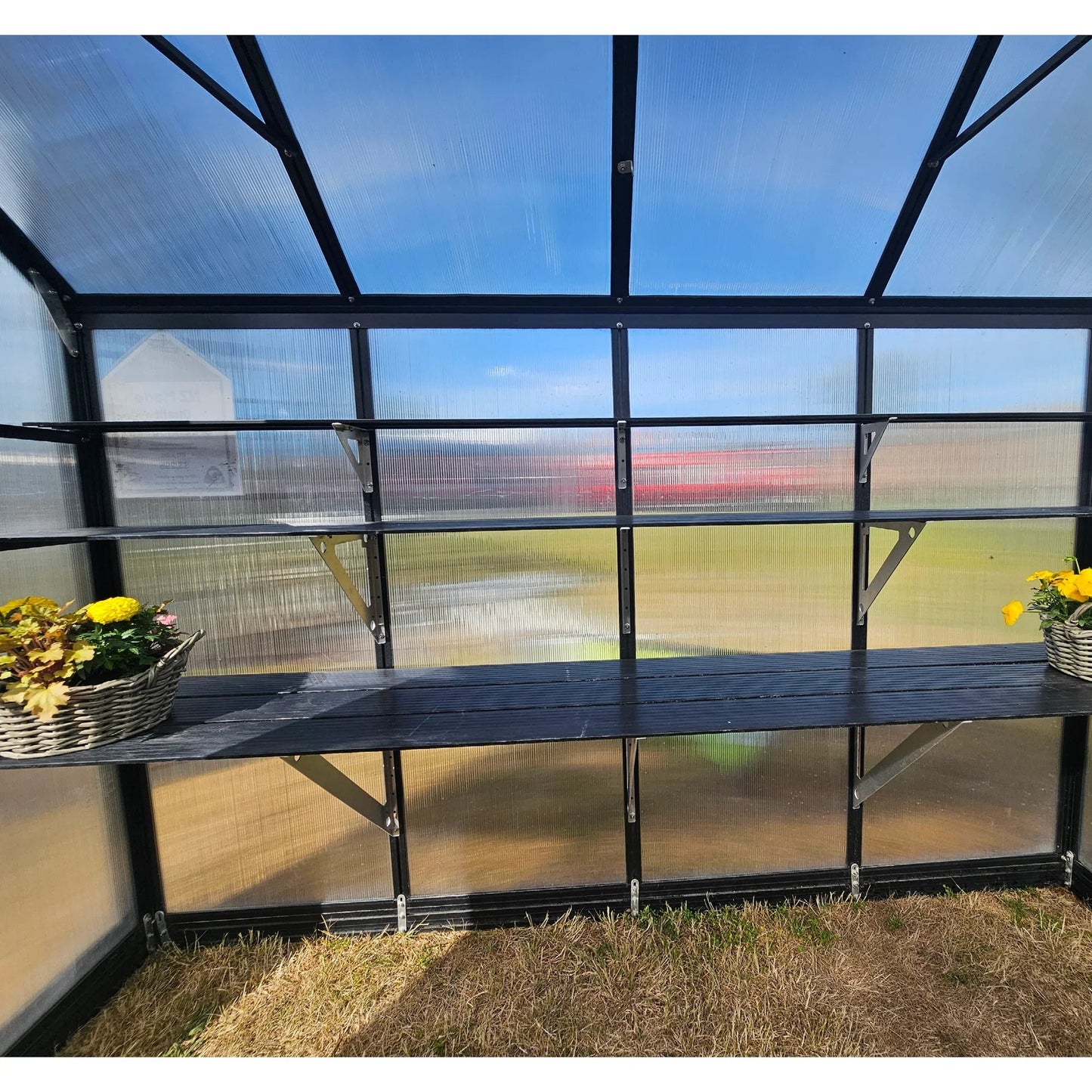 Single-Tier Shelving price per shelf - wintergardenz.co.nz