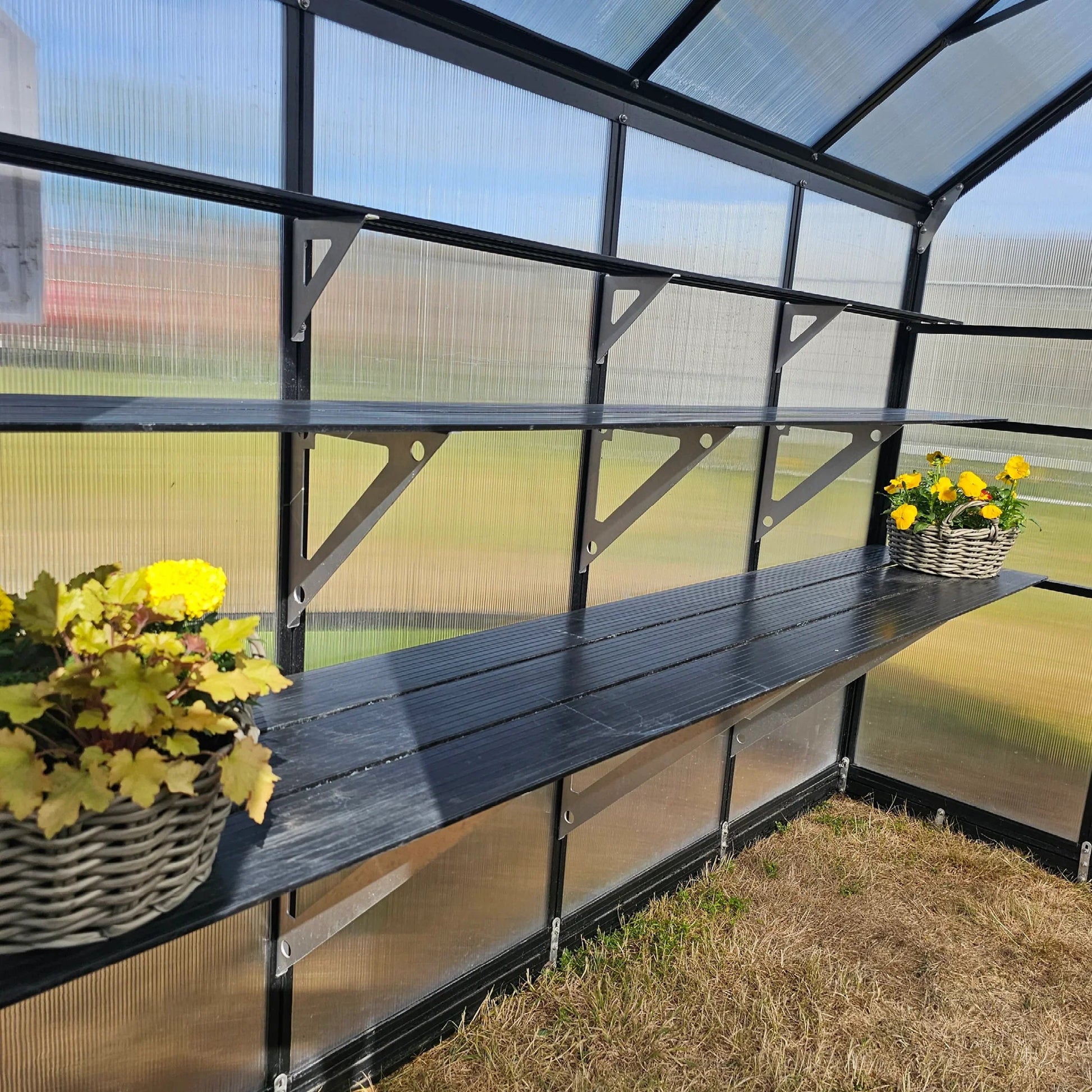 Single-Tier Shelving price per shelf - wintergardenz.co.nz
