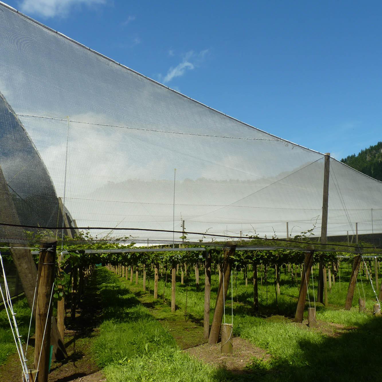Ultra-pro Quad Netting 4m wide x 100m long roll - wintergardenz.co.nz