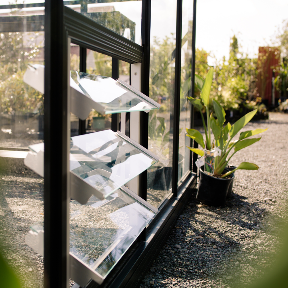 Close-up of glass louvre window panels on black frame with outdoor plants and gravel pathway