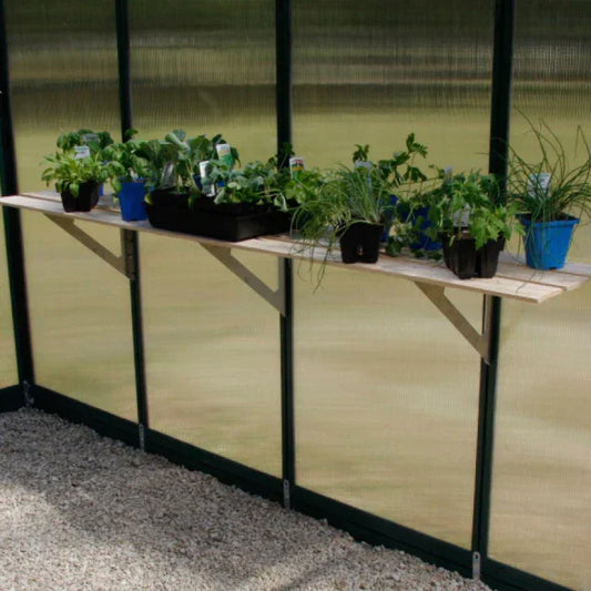 Wooden shelf with various potted green plants inside a greenhouse with translucent walls